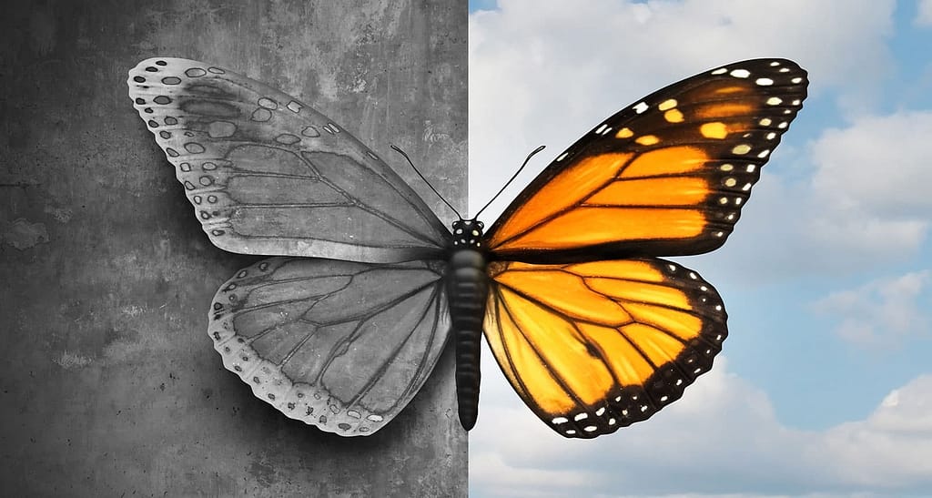 CONVERSION - The ultimate act of crossing over