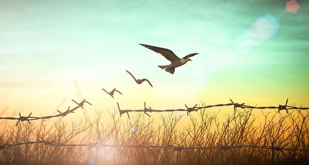 The Next Level of Discipleship