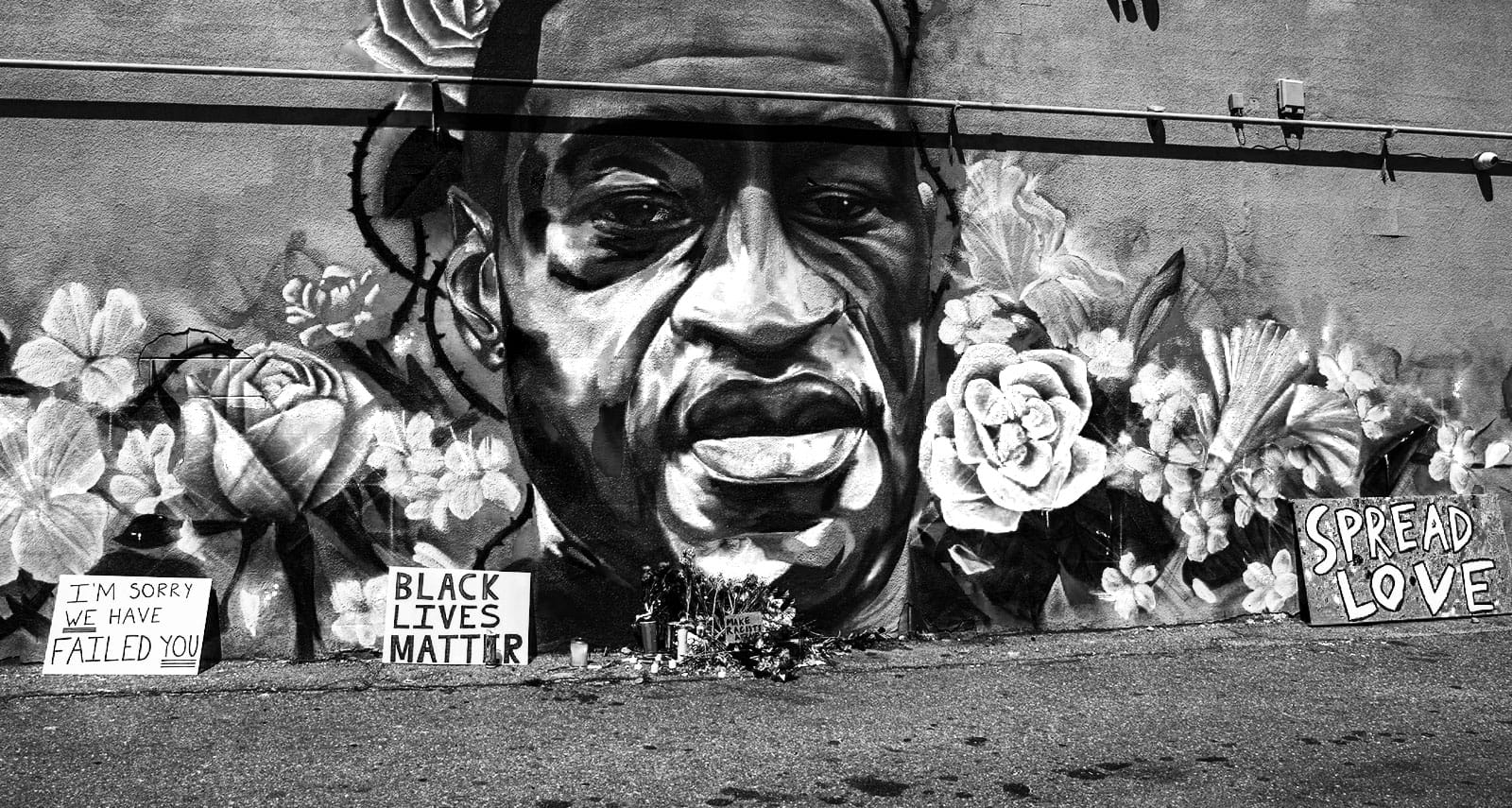 Why-the-Need-to-Apologise