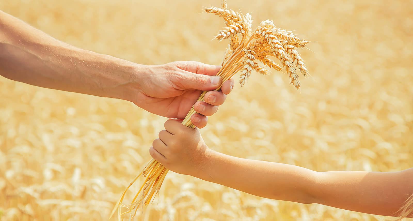 Adventist Teenager in the 21st Century